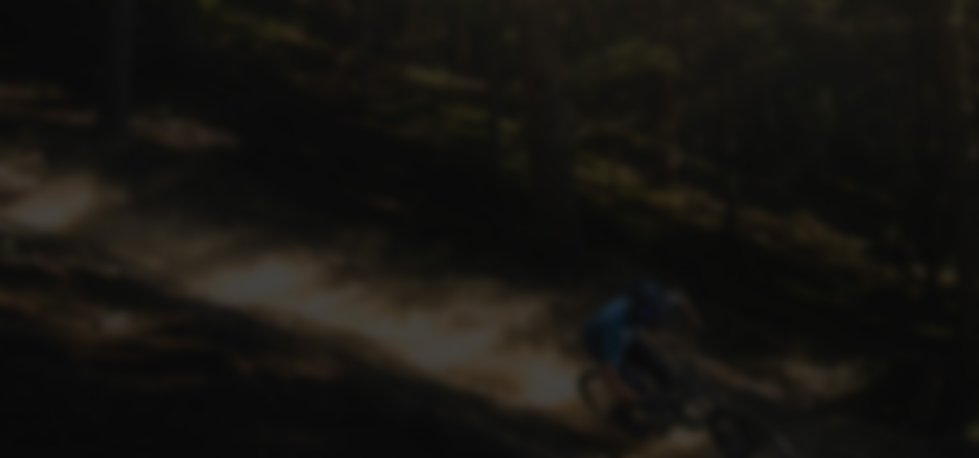 Bike slide 3
